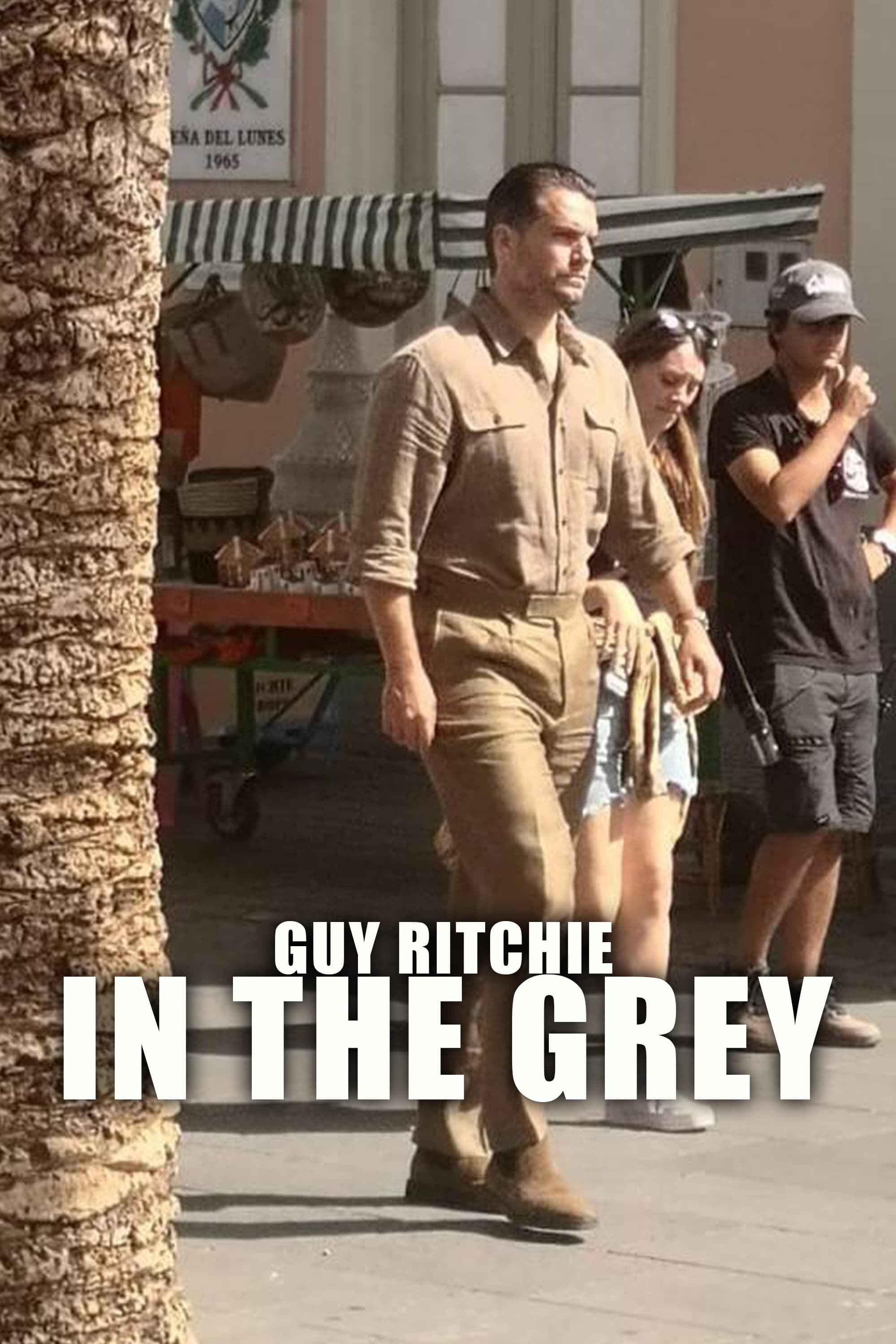 Постер In the Grey